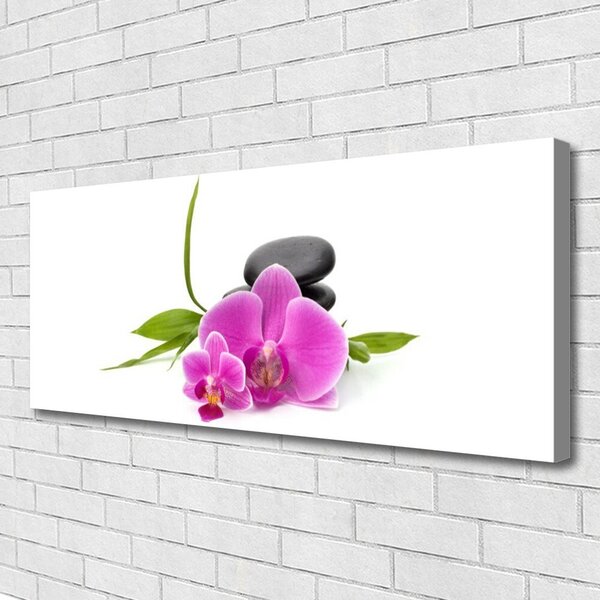 Obraz Canvas Kvet kamene rastlina 125x50 cm