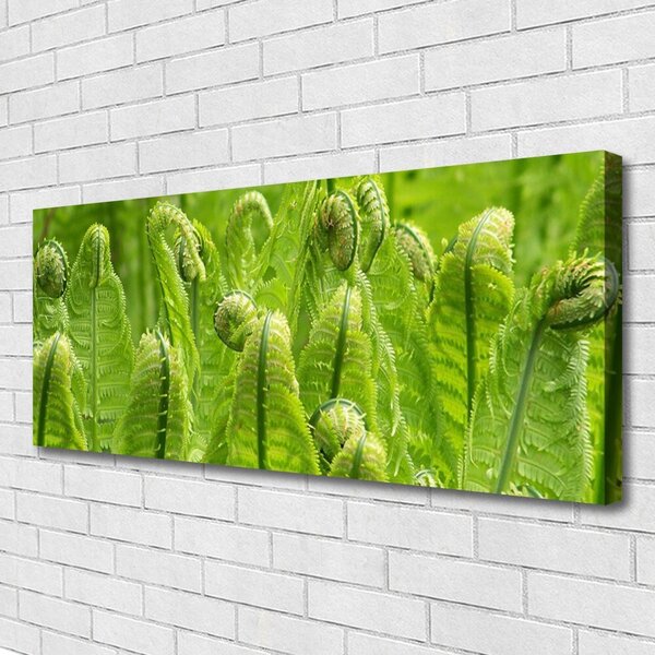 Obraz Canvas Rastlina príroda 125x50 cm