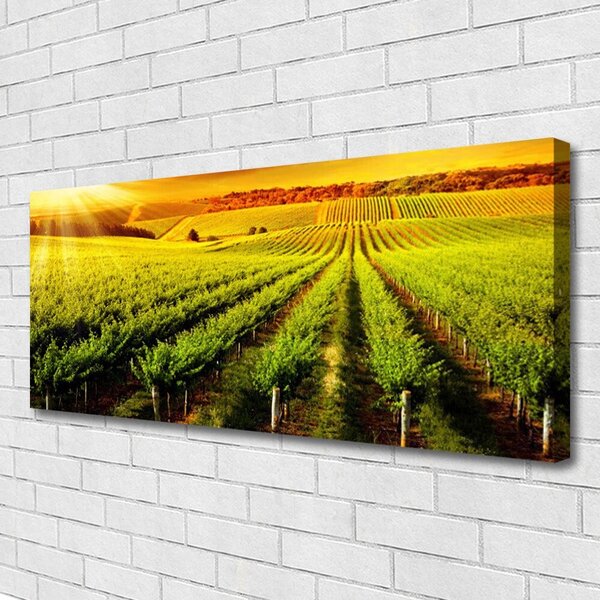Obraz Canvas Pole príroda 125x50 cm