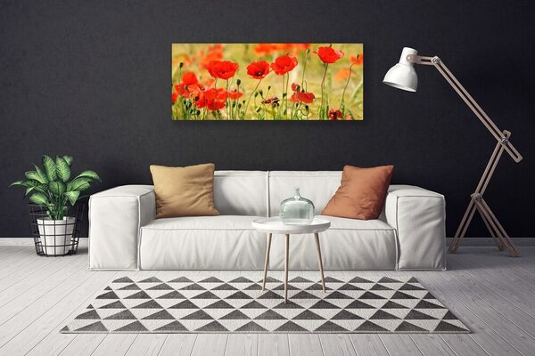 Obraz Canvas Maky rastlina príroda 125x50 cm