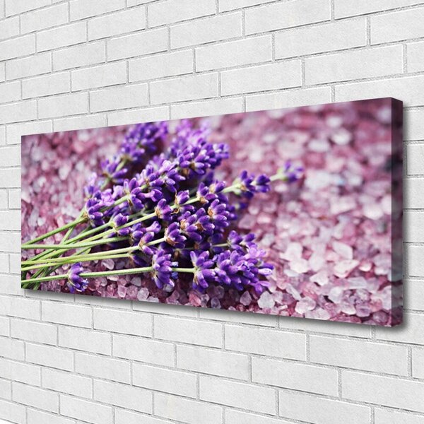 Obraz Canvas Kvety rastlina príroda 125x50 cm