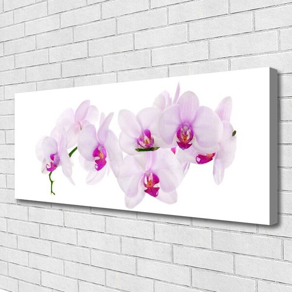 Obraz Canvas Kvety rastlina príroda 125x50 cm