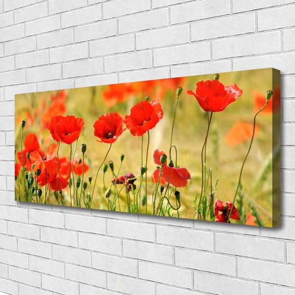 Obraz Canvas Maky rastlina príroda 125x50 cm