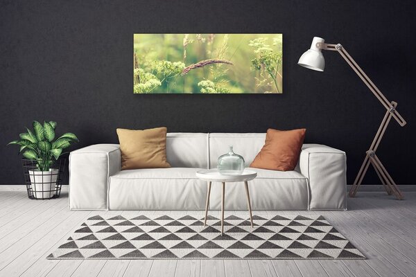 Obraz Canvas Divoké rastliny príroda 125x50 cm