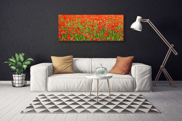 Obraz Canvas Maky rastlina príroda 125x50 cm