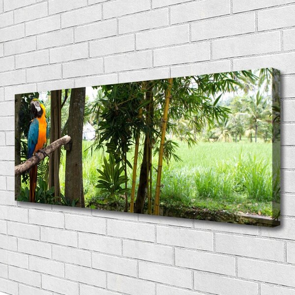 Obraz Canvas Papagáj stromy príroda 125x50 cm