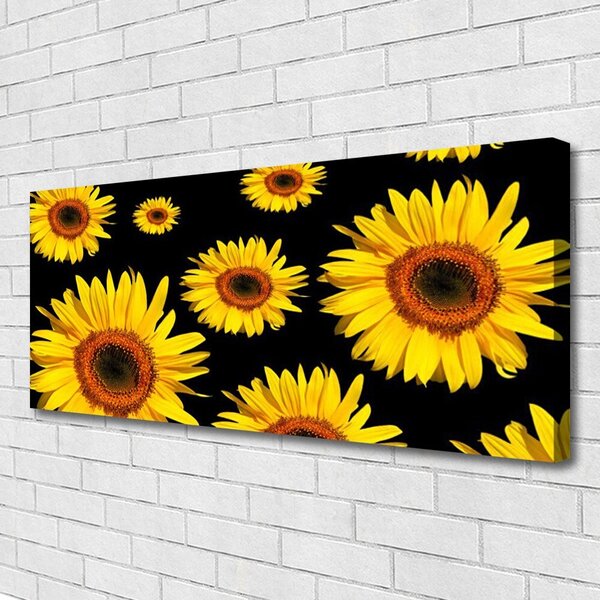 Obraz Canvas Slnečnica rastlina príroda 125x50 cm