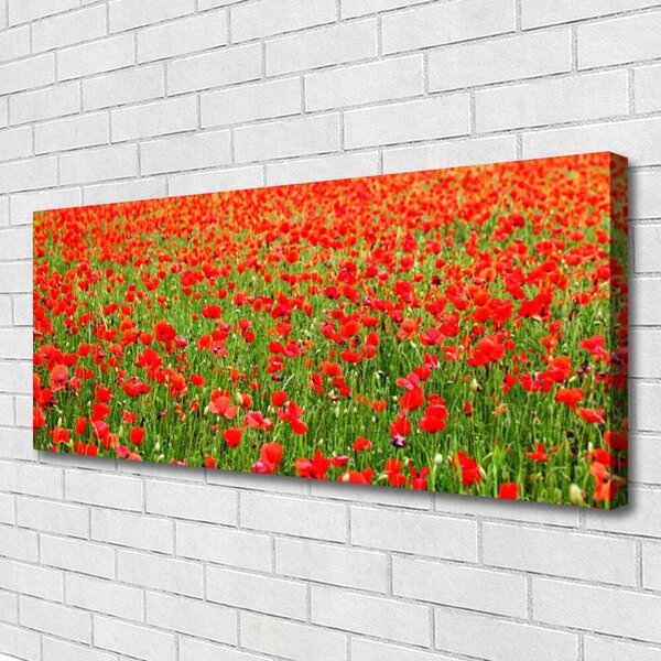 Obraz Canvas Maky rastlina príroda 125x50 cm