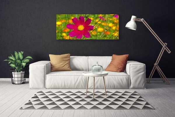 Obraz Canvas Kvet rastlina príroda 125x50 cm