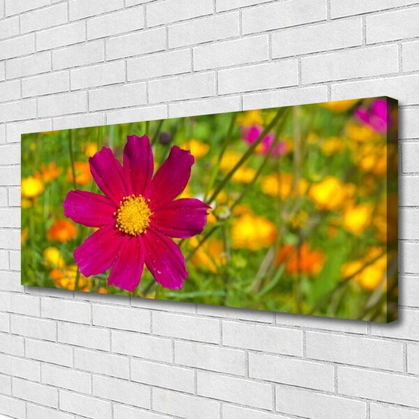 Obraz Canvas Kvet rastlina príroda 125x50 cm