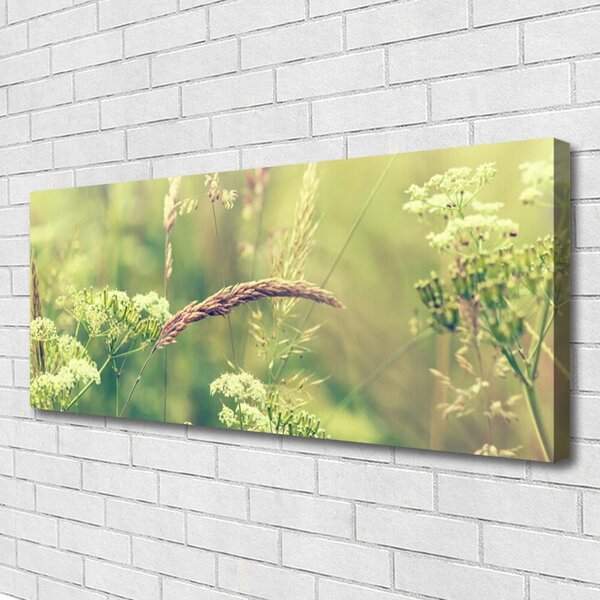 Obraz Canvas Divoké rastliny príroda 125x50 cm