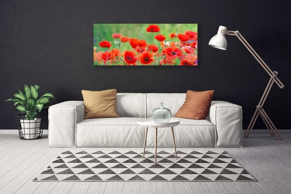 Obraz Canvas Maky rastlina príroda 125x50 cm