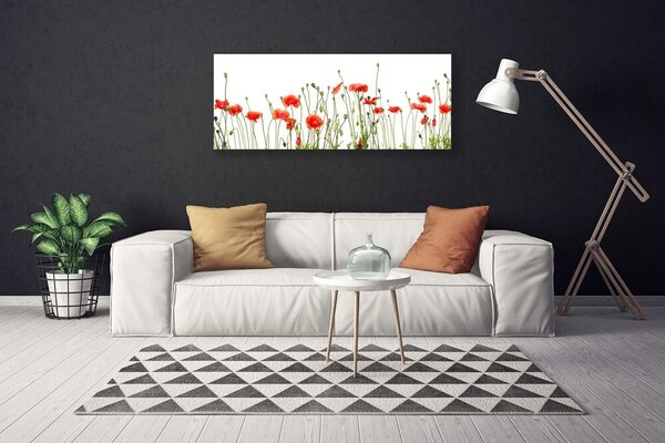 Obraz Canvas Maky rastlina príroda 125x50 cm