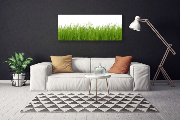 Obraz Canvas Tráva rastlina príroda 125x50 cm