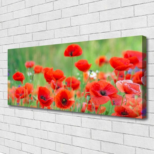 Obraz Canvas Maky rastlina príroda 125x50 cm