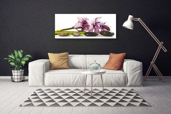 Obraz Canvas Kvet kamene rastlina 125x50 cm