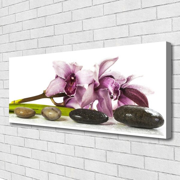 Obraz Canvas Kvet kamene rastlina 125x50 cm