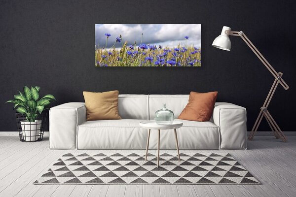 Obraz Canvas Kvety rastlina príroda 125x50 cm