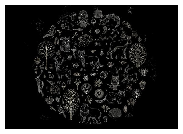 Obraz - Príroda (70x50 cm)
