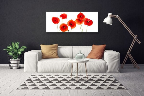 Obraz Canvas Maky rastlina príroda 125x50 cm