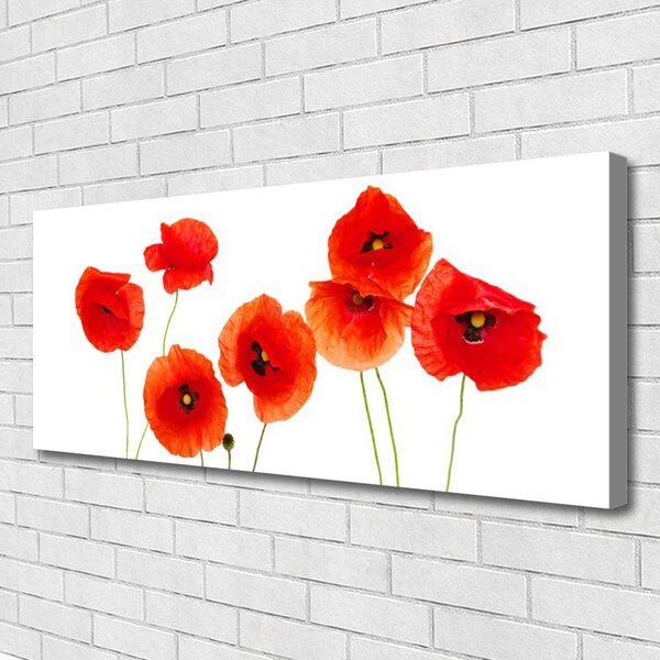 Obraz Canvas Maky rastlina príroda 125x50 cm