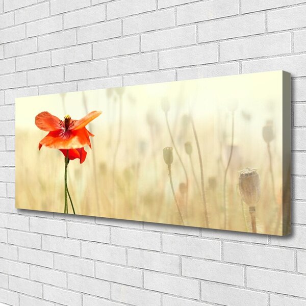 Obraz Canvas Maky rastlina príroda 125x50 cm