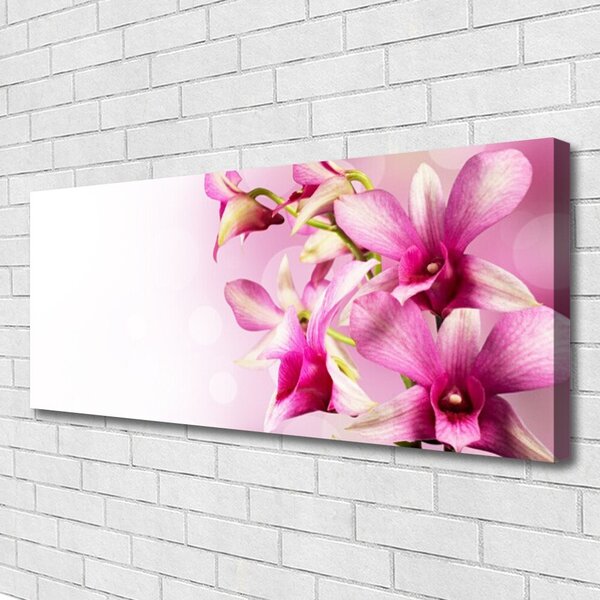 Obraz Canvas Kvety rastlina príroda 125x50 cm