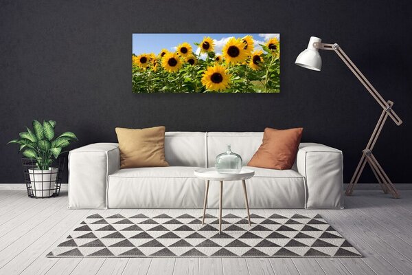 Obraz Canvas Slnečnica kvet rastlina 125x50 cm