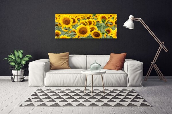 Obraz Canvas Slnečnica rastlina príroda 125x50 cm