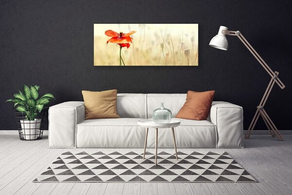 Obraz Canvas Maky rastlina príroda 125x50 cm