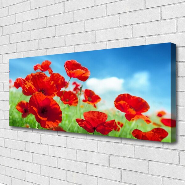 Obraz Canvas Maky rastlina príroda 125x50 cm