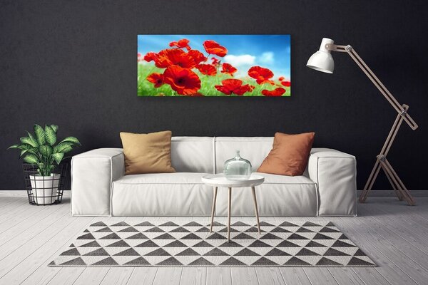 Obraz Canvas Maky rastlina príroda 125x50 cm