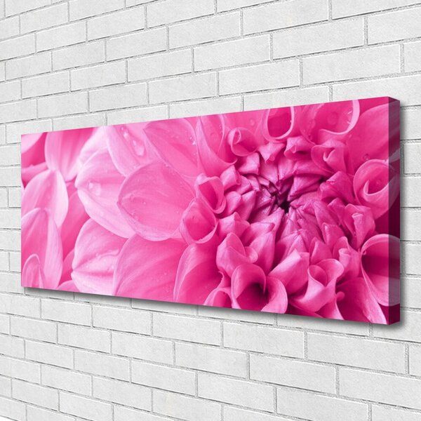 Obraz Canvas Kvety rastlina príroda 125x50 cm