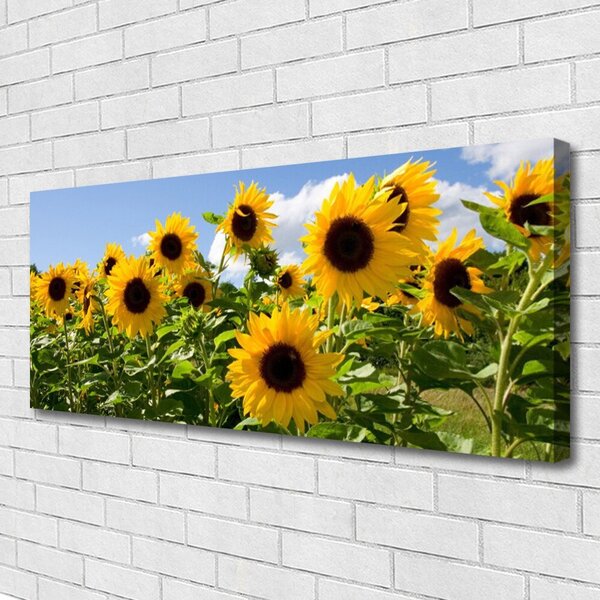 Obraz Canvas Slnečnica kvet rastlina 125x50 cm