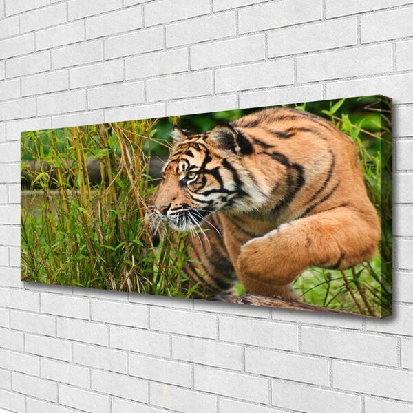 Obraz Canvas Tiger zvieratá 125x50 cm