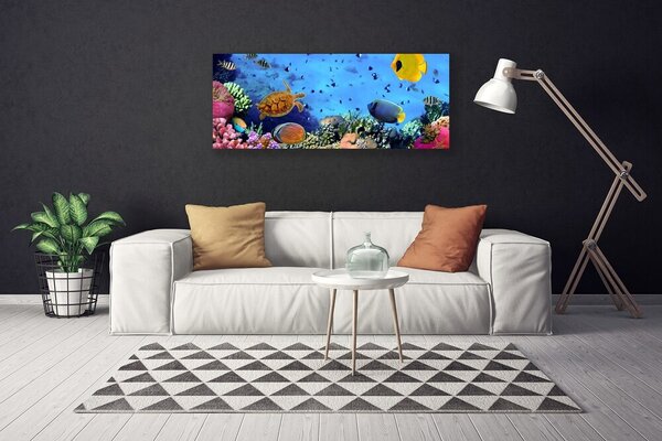 Obraz Canvas Koralový útes príroda 125x50 cm