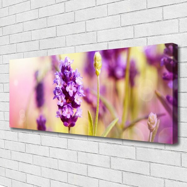 Obraz Canvas Kvety rastlina príroda 125x50 cm