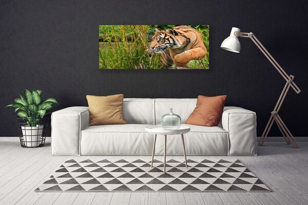 Obraz Canvas Tiger zvieratá 125x50 cm