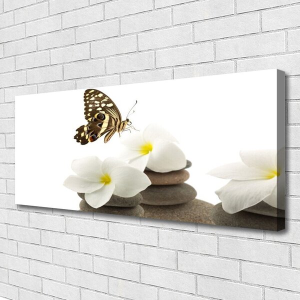 Obraz Canvas Motýľ kvet kamene rastlina 125x50 cm