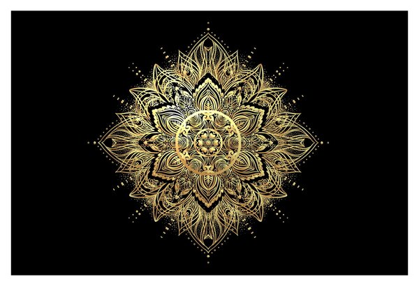Obraz - Mandala bohatstvo (90x60 cm)