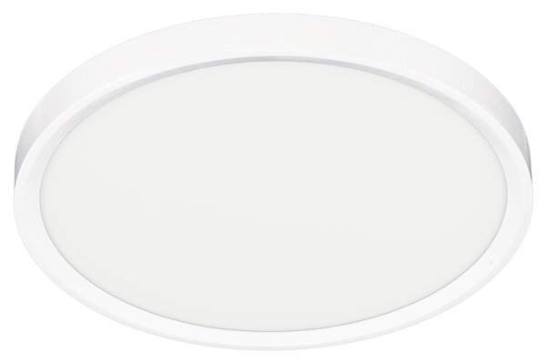 Stropné LED svietidlo Maq, 1x LED 24w, 3000-6500k, w