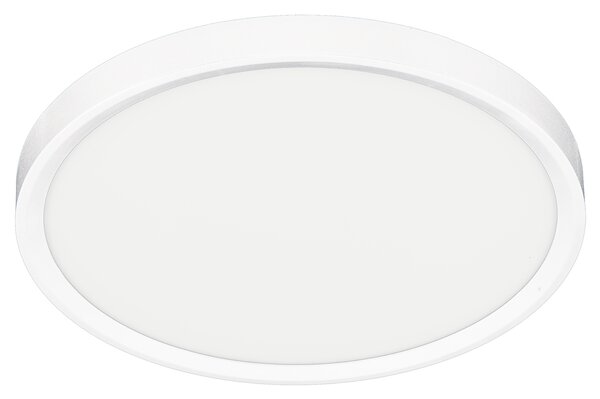 Stropné LED svietidlo Maq, 1x LED 24w, 3000-6500k, w
