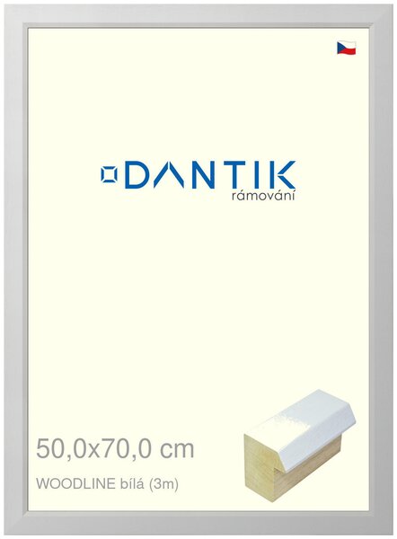 DANTIK rám na obraz 50x70 | WOODLINE bílá (Plexi Čiré)
