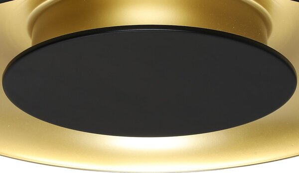 Stropné LED svietidlo Piattino, 1x LED 30w, 3000-6000k, b/g