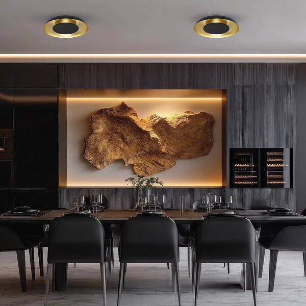 Stropné LED svietidlo Piattino, 1x LED 30w, 3000-6000k, b/g