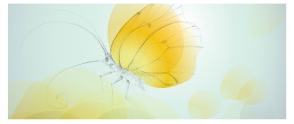 Obraz - Žltý motýľ (120x50 cm)