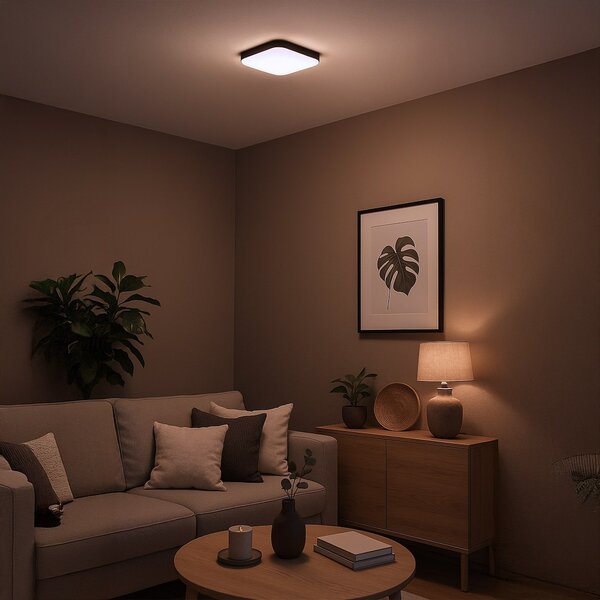 Stropné LED svietidlo Nemo, 1x LED 11w, 4000k, b