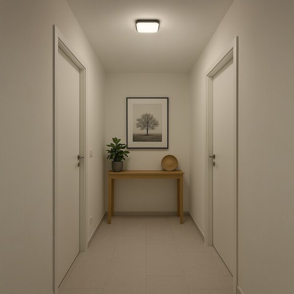 Stropné LED svietidlo Nemo, 1x LED 11w, 4000k, b