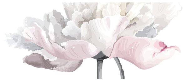 Obraz - Kvet ruže (120x50 cm)