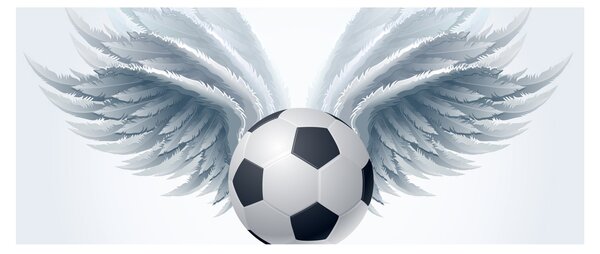 Obraz - Balón s krídlami (120x50 cm)